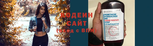 крисы Куйбышев